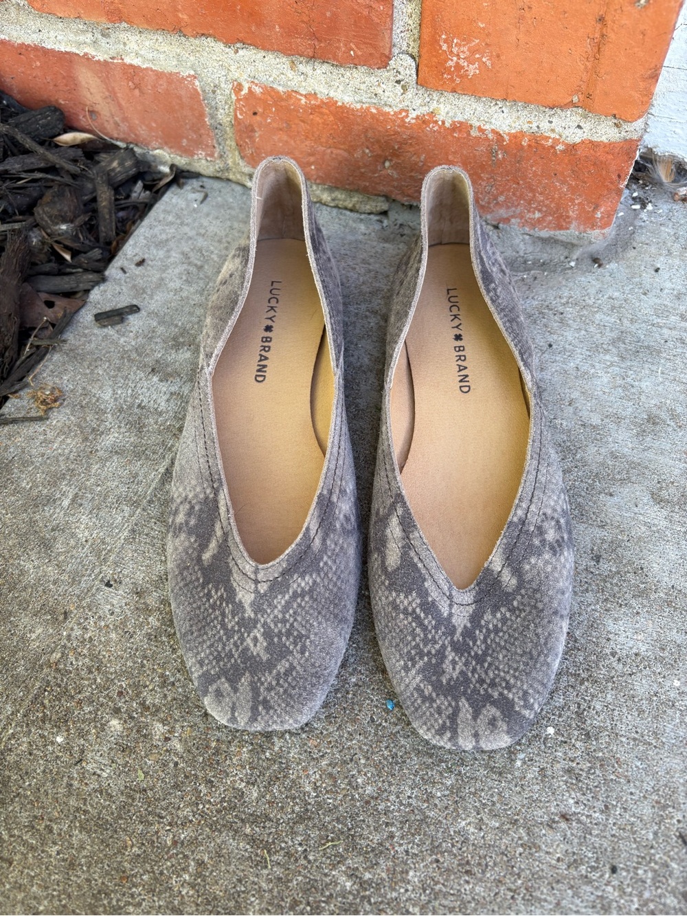 Lucky Brand Taupe Snake-Print Slip-On Flats